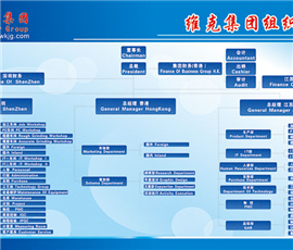 Organizational structure